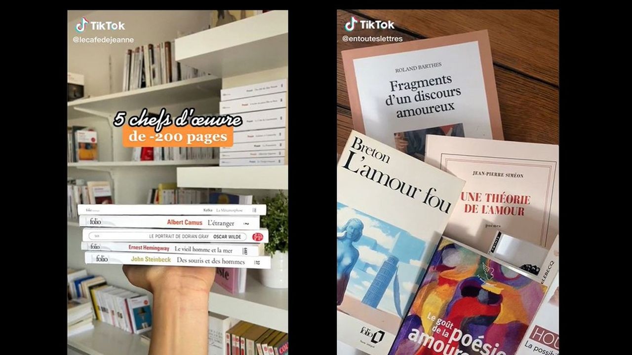 capture d'écran de booktok sur tiktok