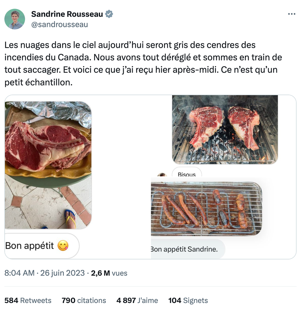 Sandrine Rousseau publie les tweets qu'elle reçoit en masse avec des photos de viande